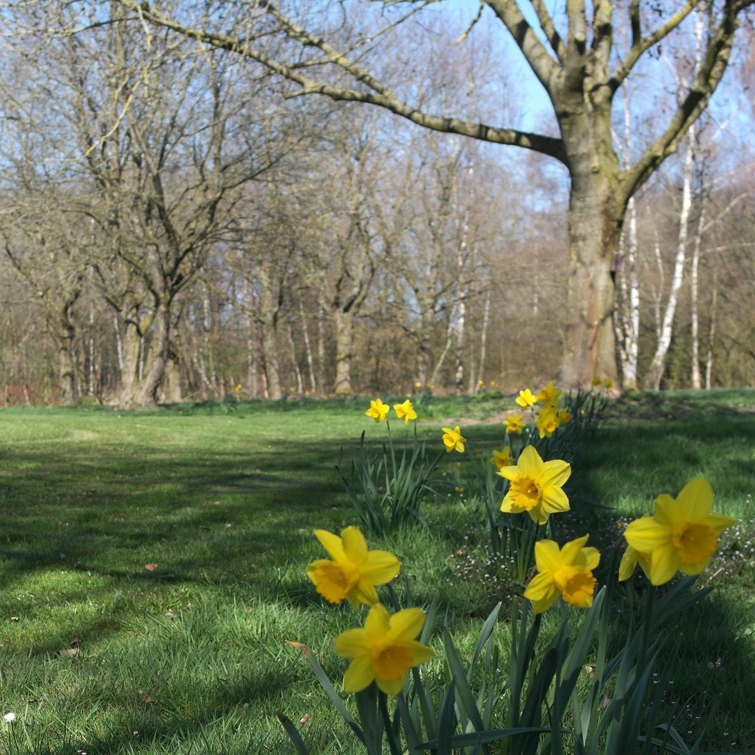 arrangements-urlaubskalender-2