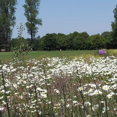 businessplus-ueberblick-8