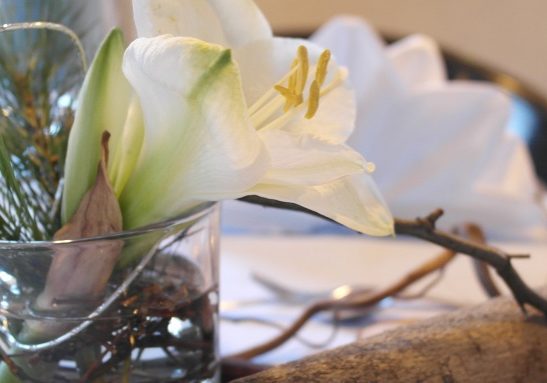 feiern-familienfeiern