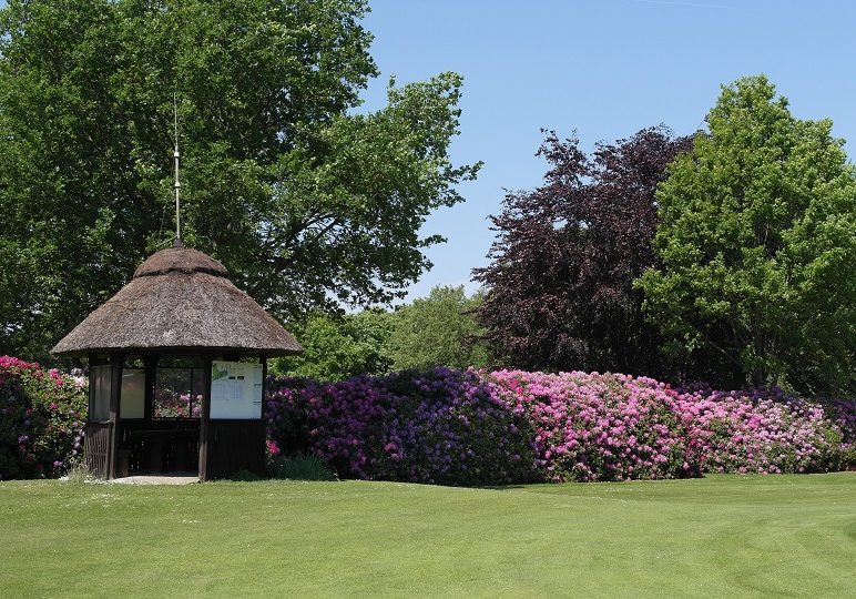 golfen-golfplatz-ostrfriesland-tee-1