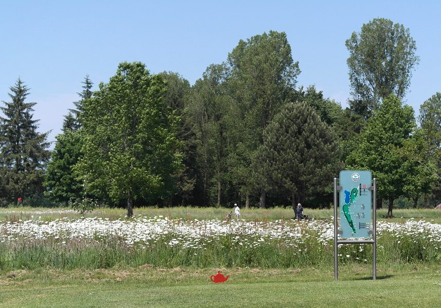 golfplatz-ostfriesland-tee-9