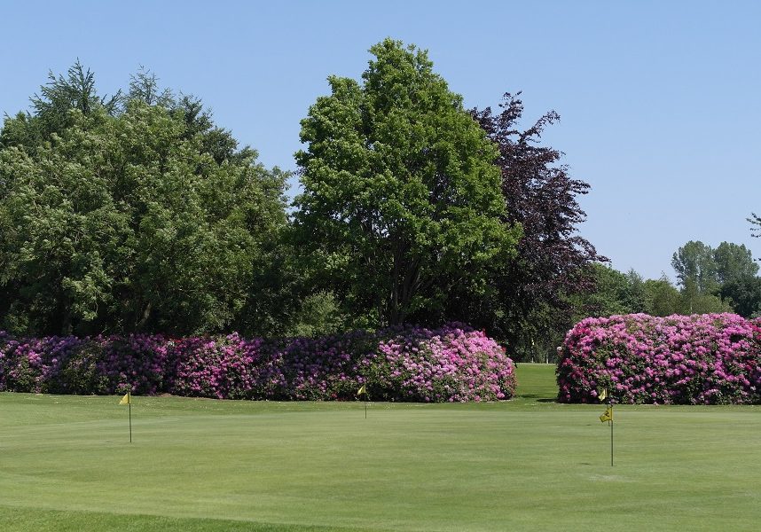 golfplatz-ostriesland-putting-green